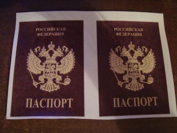 прописка в Светлограде